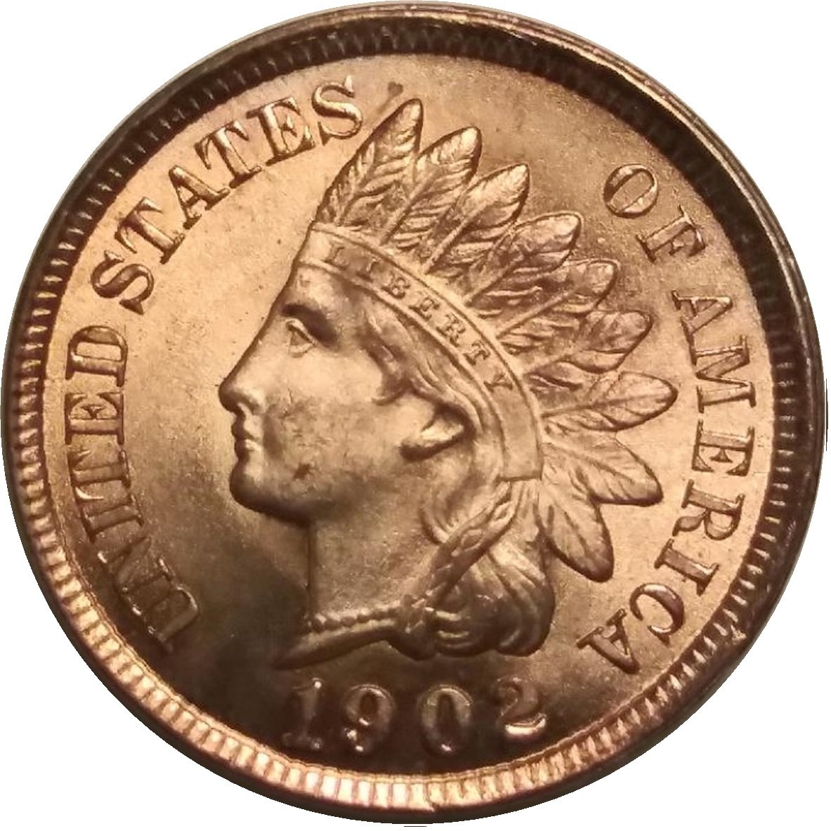 1902-1c-Indian-Head-Cent-#4